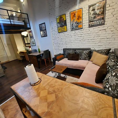 Authentic Belgrade Centre - Split Level Loft With Patio In Courtyard Διαμέρισμα Εξωτερικό φωτογραφία
